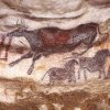 Lascaux : la vache tombant