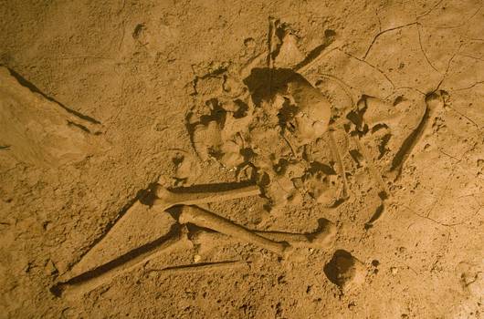 Grotte de Cussac - vestiges humains du locus 2" (© P. Courtaud -PCR Cussac) 