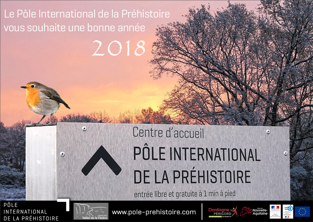 Voeux PIP 2018 1c