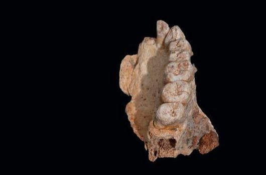 Homo sapiens présent au Proche-Orient il y a plus de 200 000 ans   