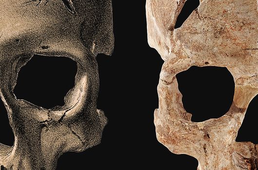 Exposition au MNP : Des originaux de Cro-Magnon présentés du 23 mars au 14 mai 2018