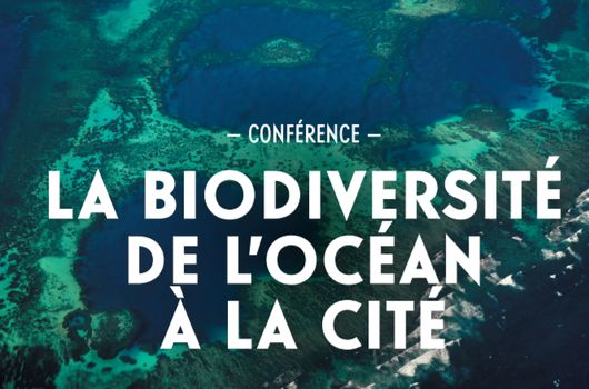 Trois conférences autour de la biodiversité pour l'abri Pataud en 2018