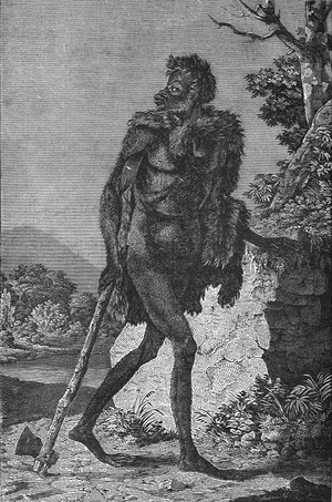 L'Homme primitif, reconstitution problématique d'après la description d"E. Haeckel...  Henri R. du Cleuziou : La création de l'homme et les premiers âges de l'humanité  